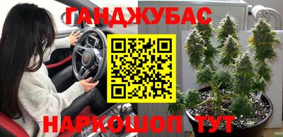 Альфа ПВП Краснознаменск