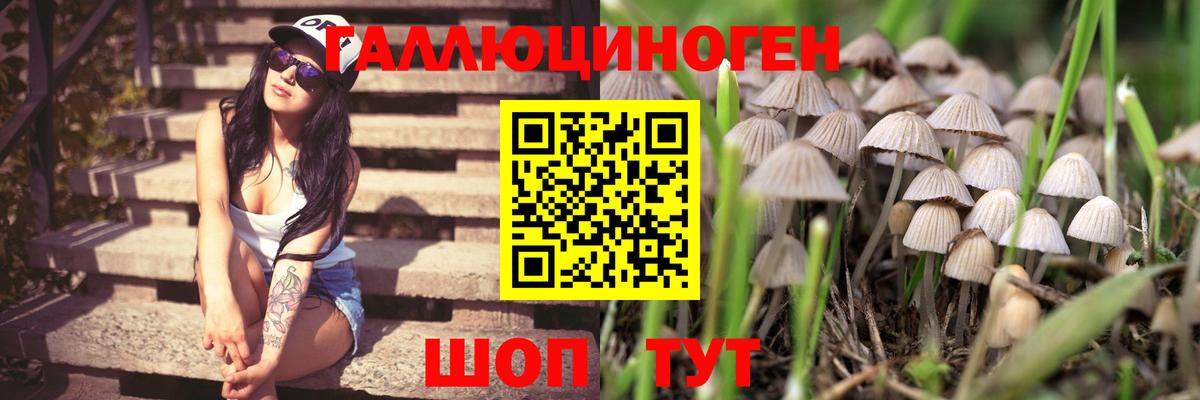 Псилоцибиновые грибы Magic Shrooms  Вход с VPN  Красногорск 
