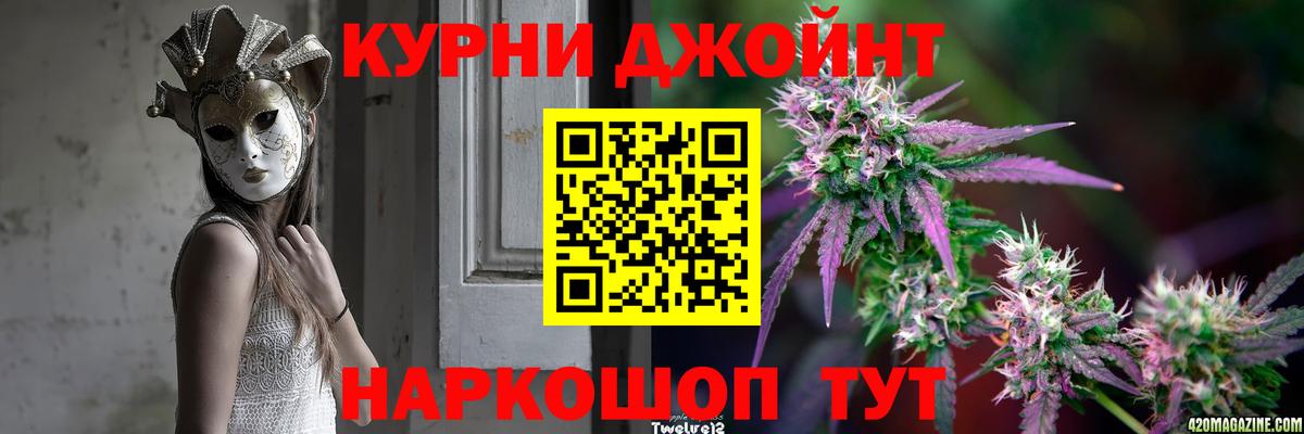 Конопля сатива Красногорск